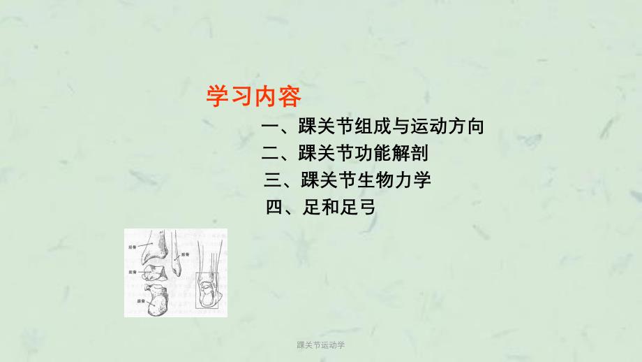 踝关节运动学课件_第2页