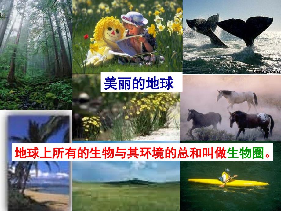 生物与环境的关系_第2页