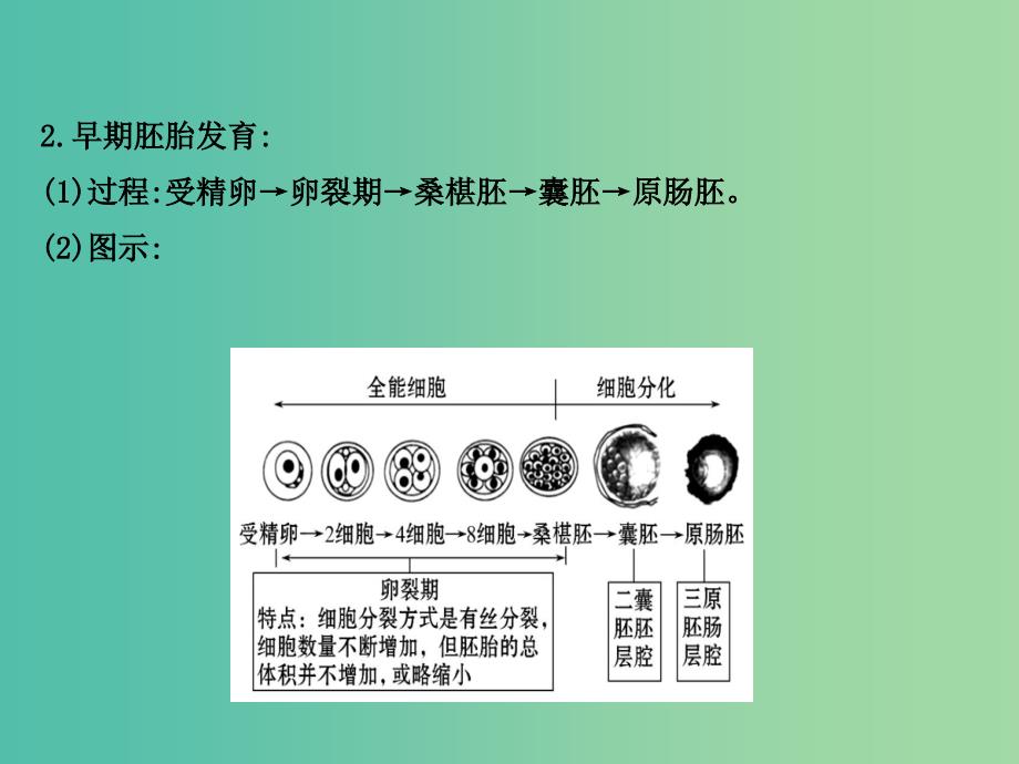 高中生物 专题3 胚胎工程同课异构阶段复习课课件 新人教版选修3.ppt_第4页