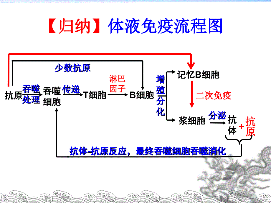 艾滋病的流行和预防_第3页