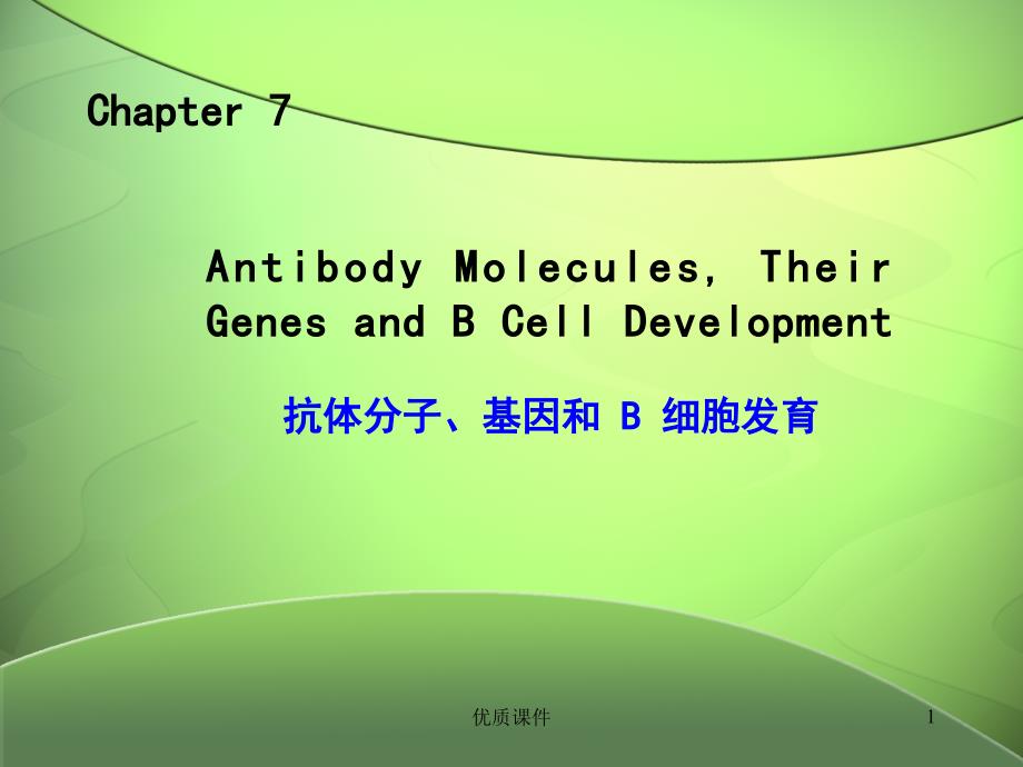 抗体、基因重排及B细胞发育#高级教学_第1页