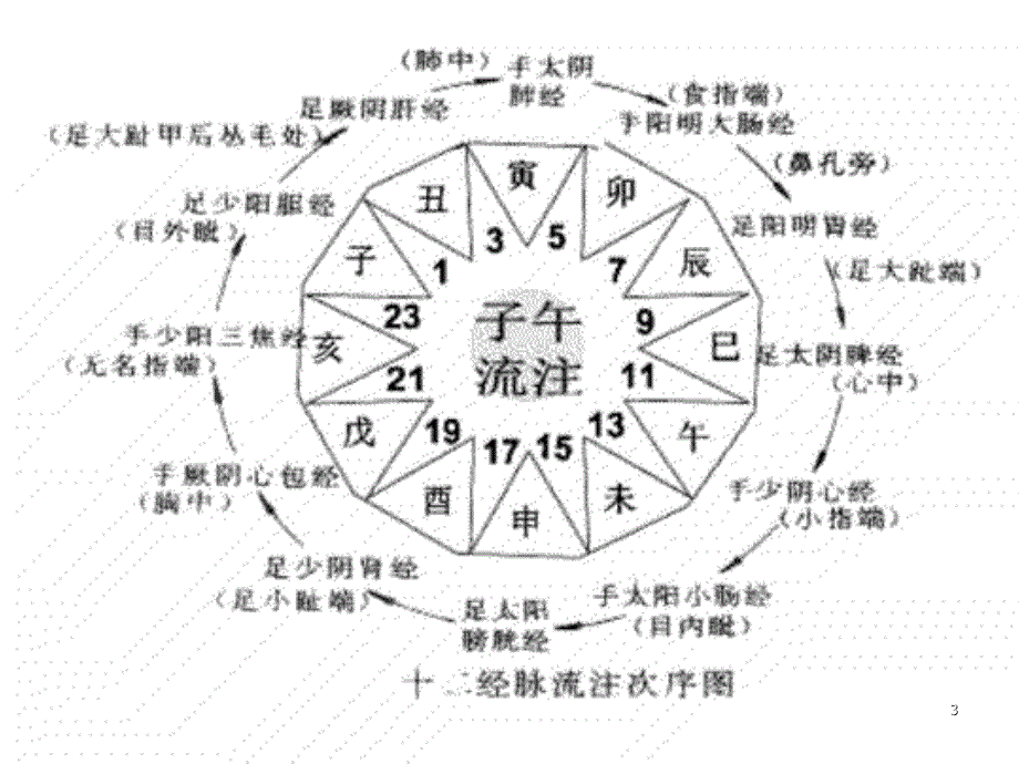 中医经络养生之十二时辰养生.PPT_第3页