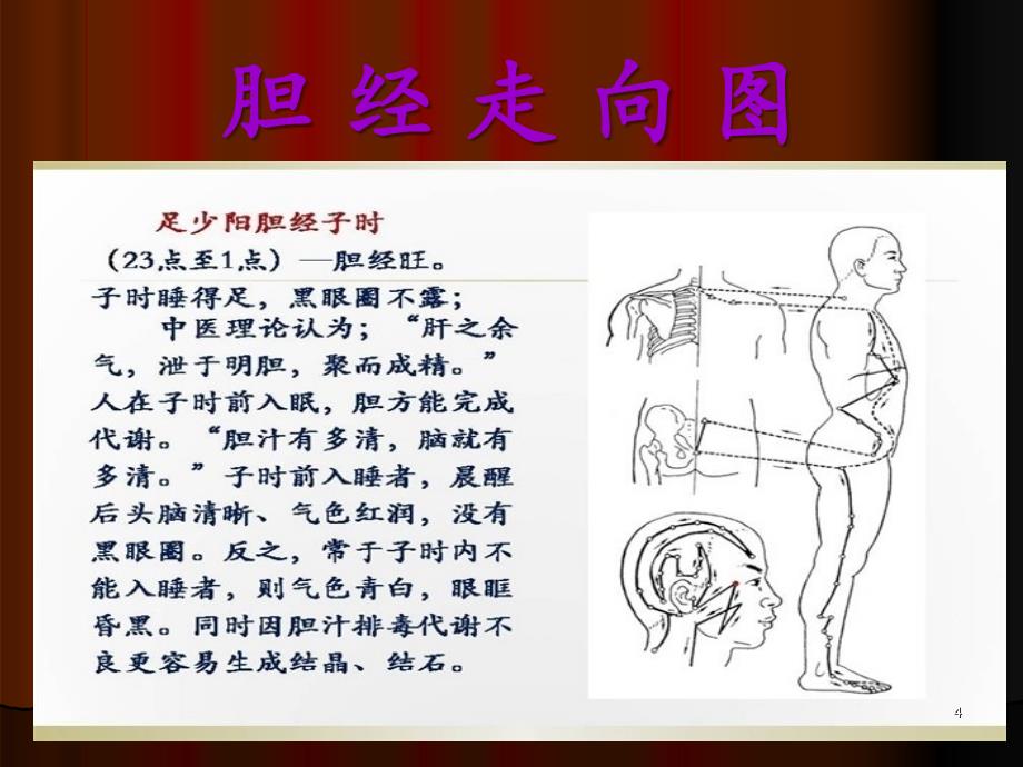 中医经络养生之十二时辰养生.PPT_第4页