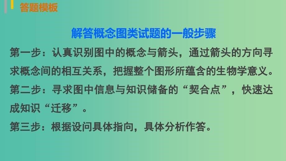 高三生物第二轮复习 第一篇 能力专题突破1 图形、图解、图谱类题型突破课件 新人教版.ppt_第5页