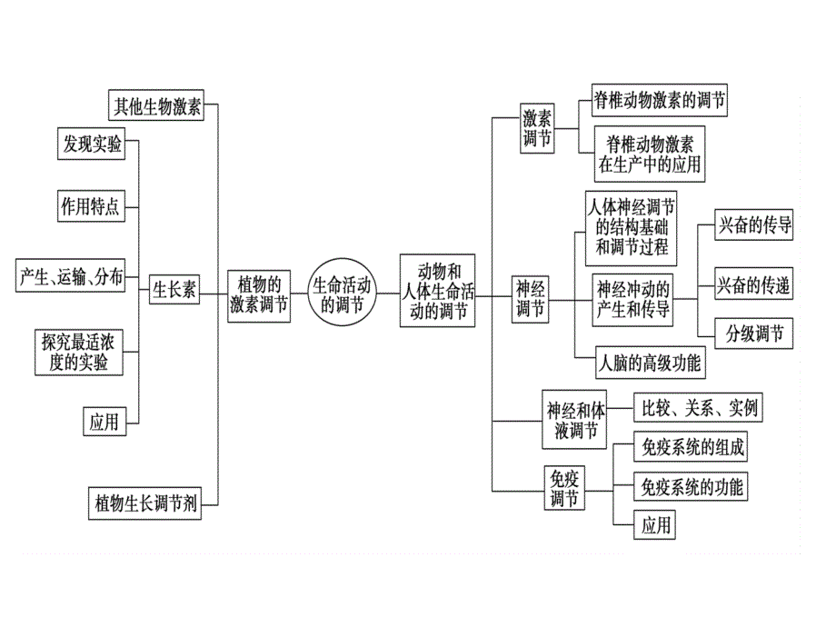 生物二轮复习人和动物生命活动的调节_第3页