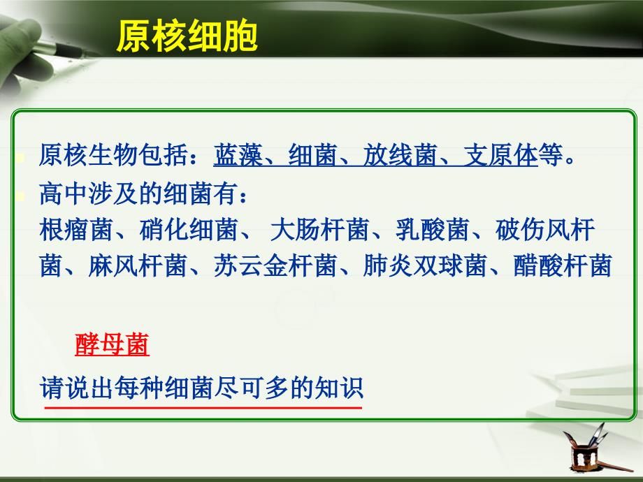 高考生物复习专题：高中常见细胞汇总_第3页