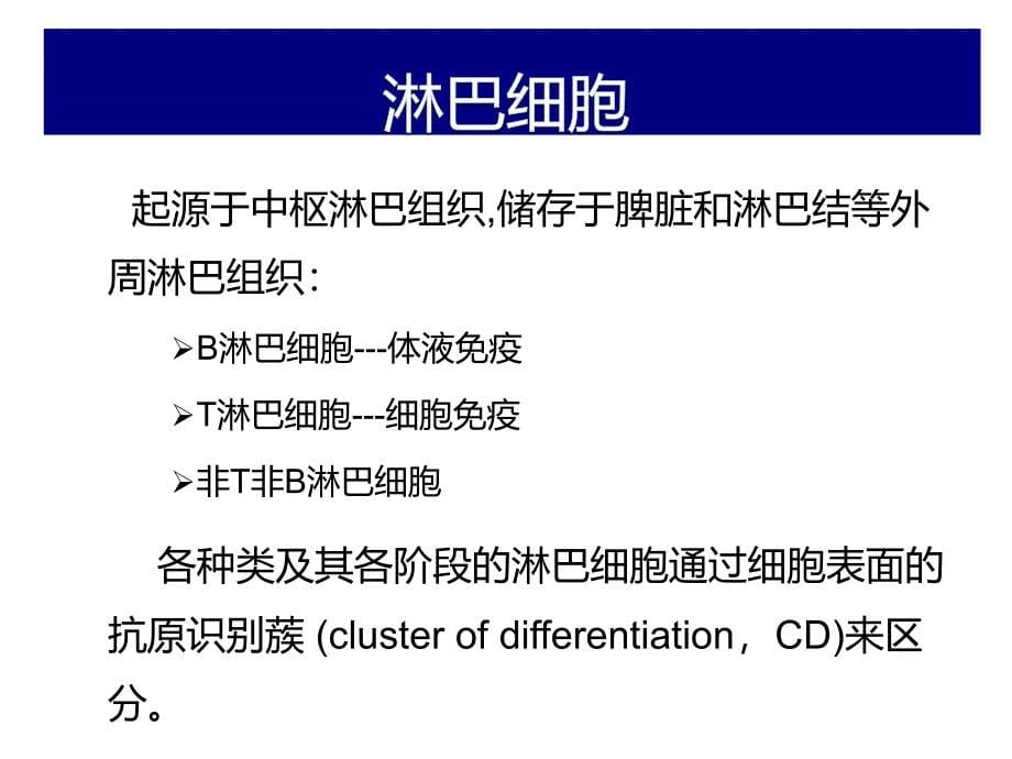 内科学》课件-温医大-淋巴瘤2017赵朴_第5页