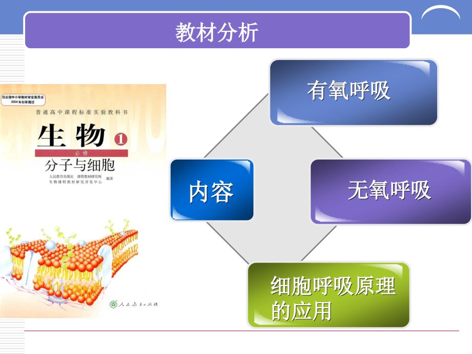 《ATP的主要来源-细胞呼吸》说课稿课件_第3页