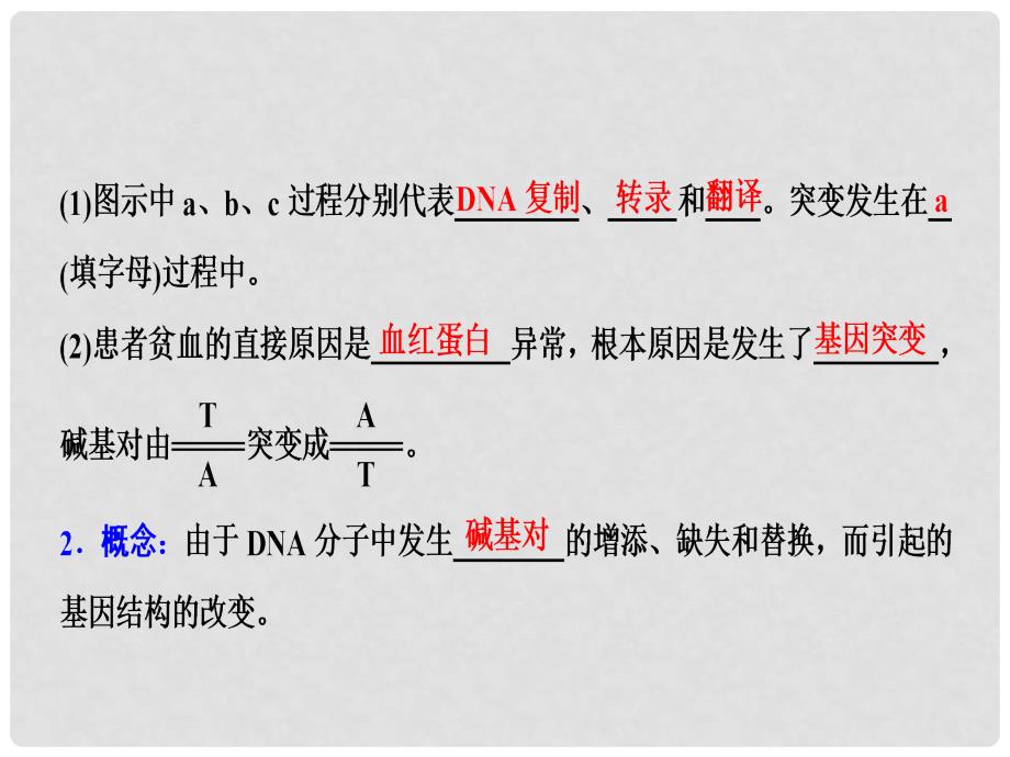 优化探究高考生物一轮复习 第七单元 生物的变异、育种与进化 第一讲 基因突变和基因重组课件 新人教版_第3页