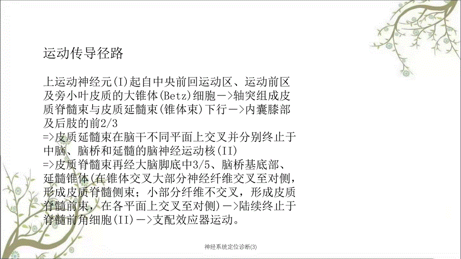 神经系统定位诊断3_第4页