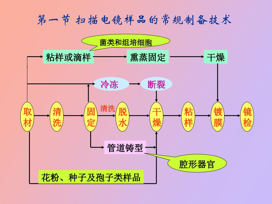 电镜样品的制备_第2页