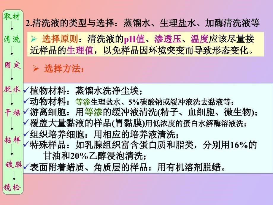 电镜样品的制备_第5页