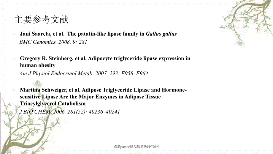 鸡类patatin脂肪酶家族PPT课件_第2页