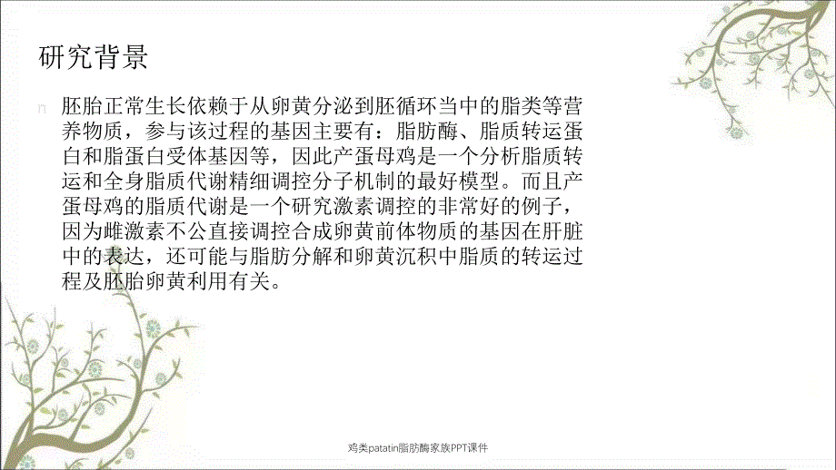 鸡类patatin脂肪酶家族PPT课件_第4页