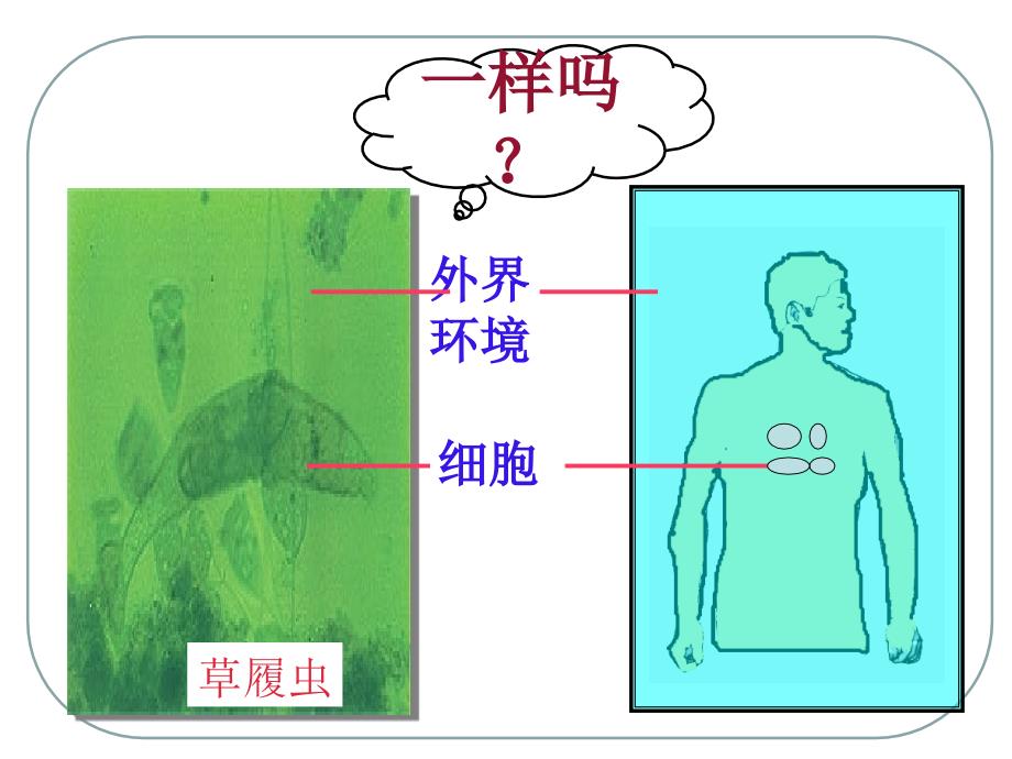 细胞生活的环境培训讲义_第3页