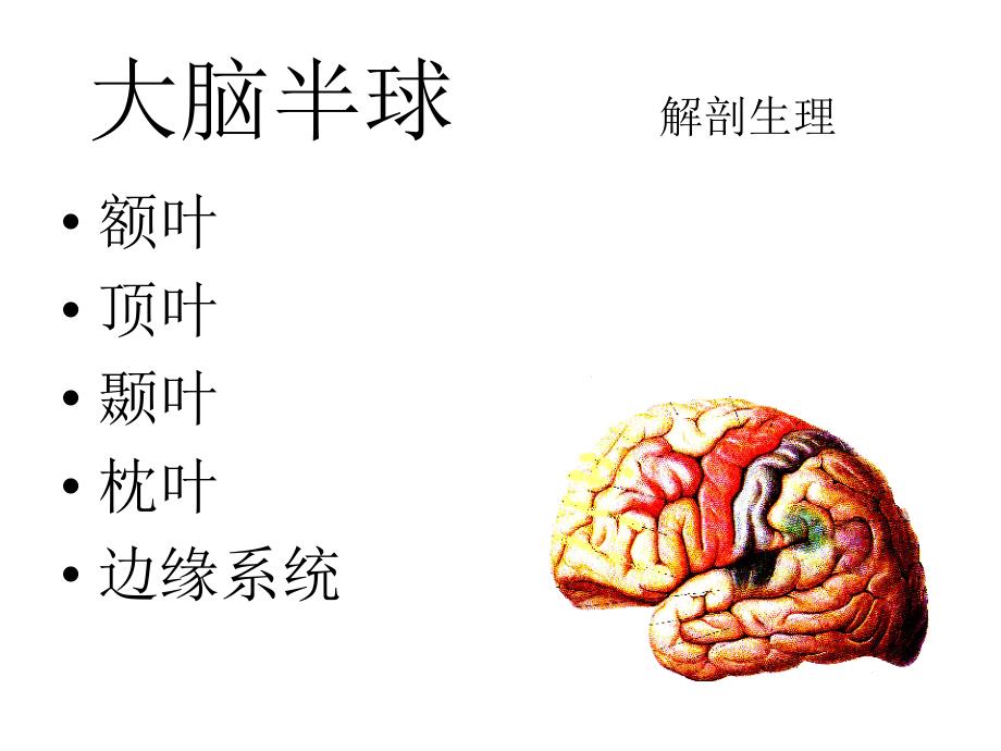 神经病症状学：大脑半球_第3页