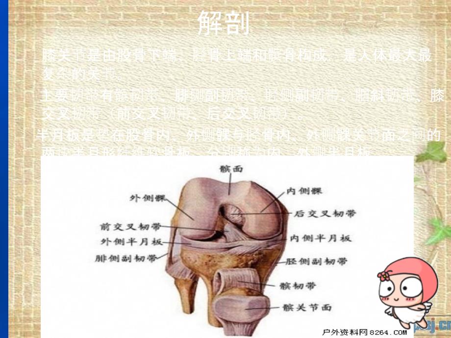 膝关节镜护理查房ppt课件_第3页