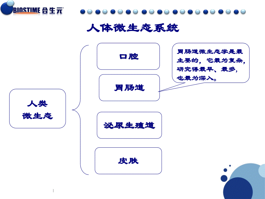 益生菌产品知识-专业版V_第4页