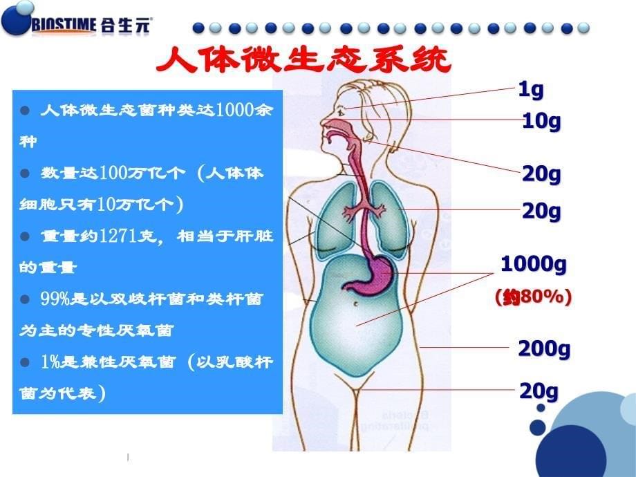 益生菌产品知识-专业版V_第5页