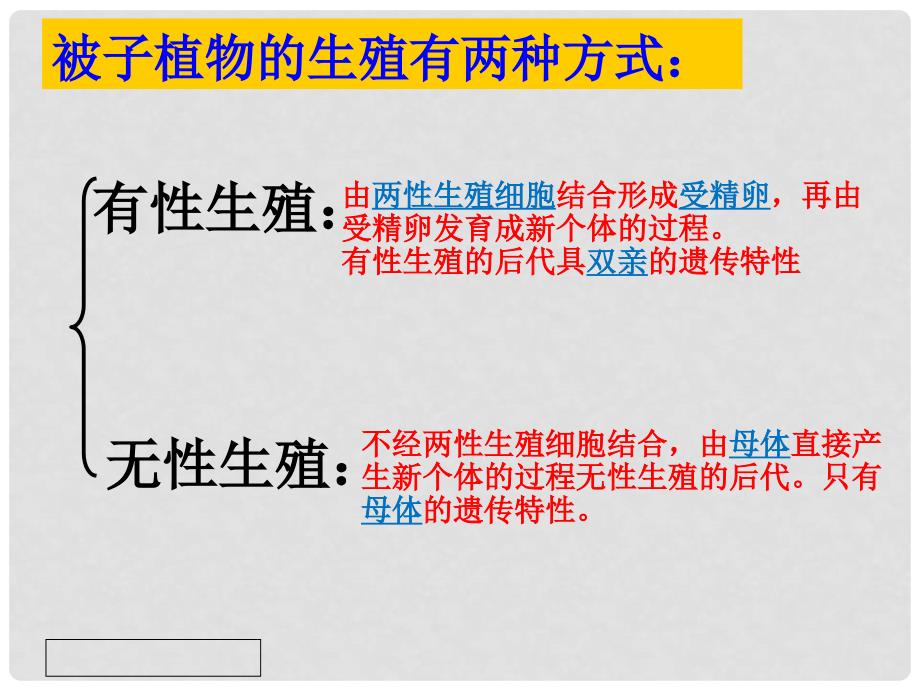 云南省中考生物试题研究 植物的生殖课件_第4页