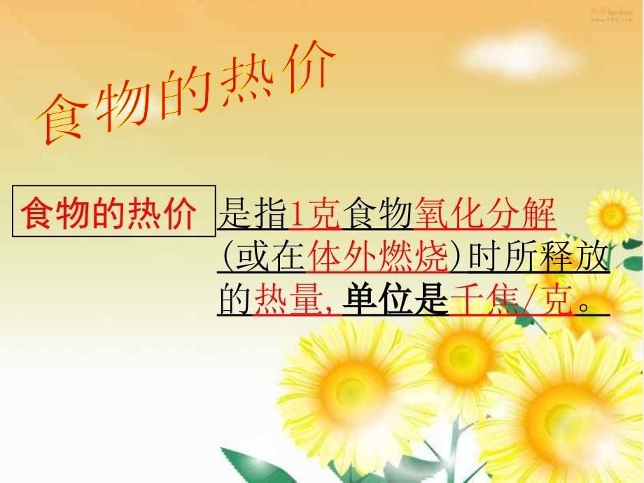 济南版七年级下册生物 第二章第二节人体内能量的利用_第5页