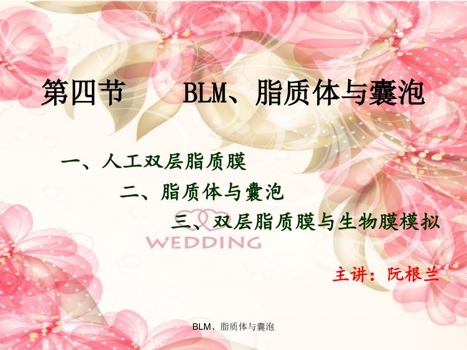 BLM脂质体与囊泡课件_第1页