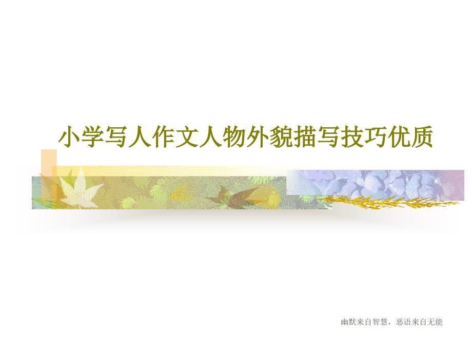 小学写人作文人物外貌描写技巧优质课件