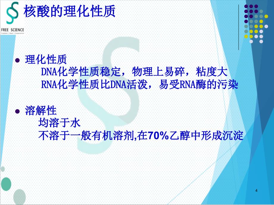 DNARAN琼脂糖凝胶电泳.PPT_第4页