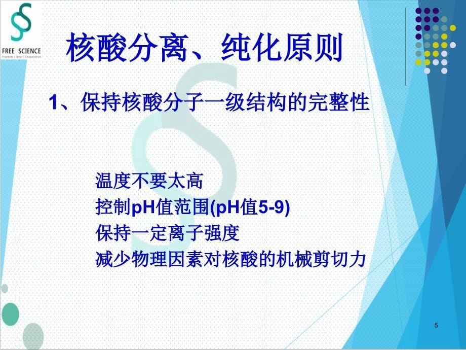 DNARAN琼脂糖凝胶电泳.PPT_第5页