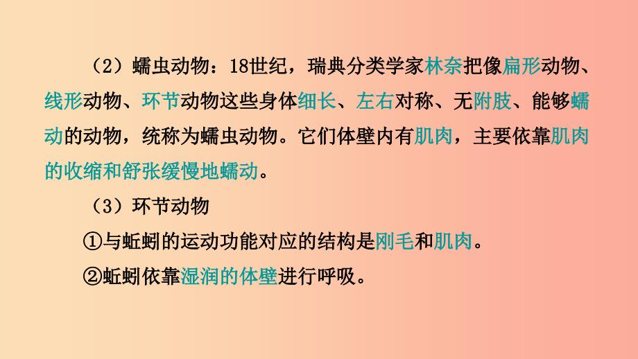 山东省2019年中考生物 主题复习四 生物圈中的动物课件 济南版.ppt_第4页