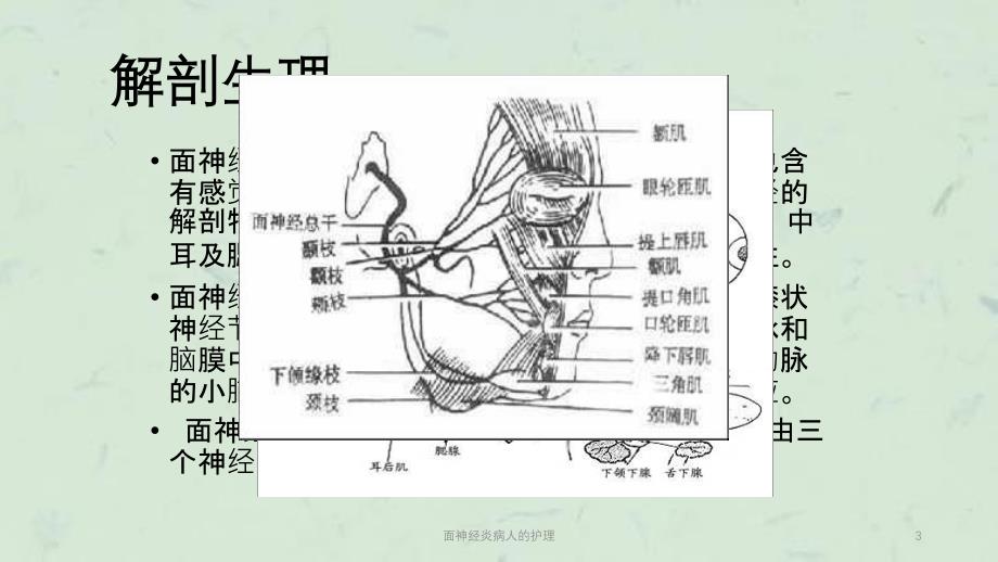 面神经炎病人的护理课件_第3页