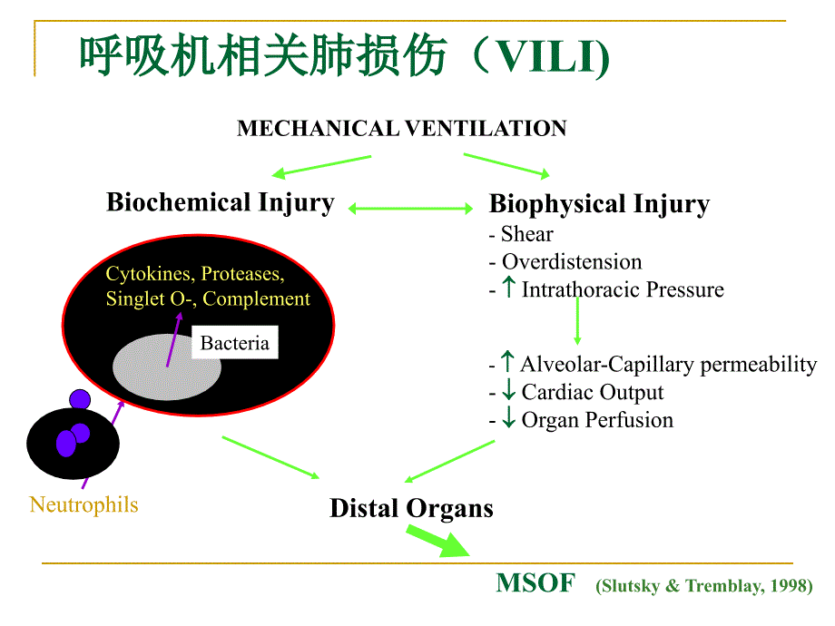 肺保护性通气策略.ppt_第3页