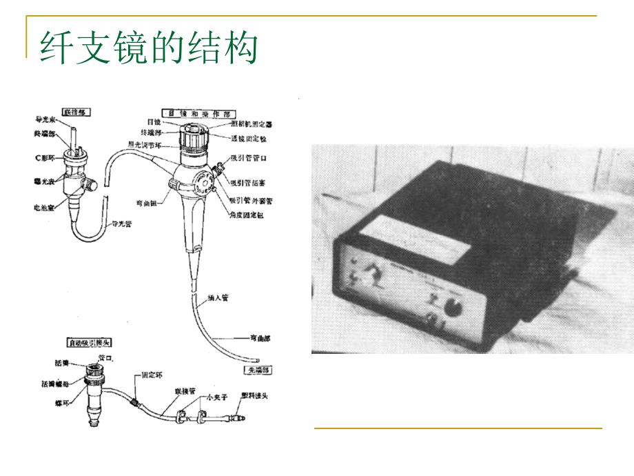 纤支镜在ICU的应用_第3页