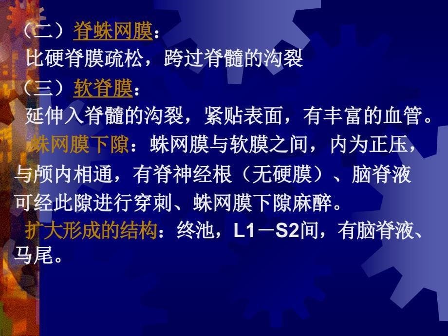 脑、脊髓被膜、血管及脑脊液循环课件_第5页