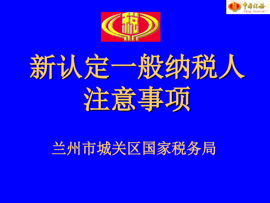 般纳税人注意事项注意事项_第1页