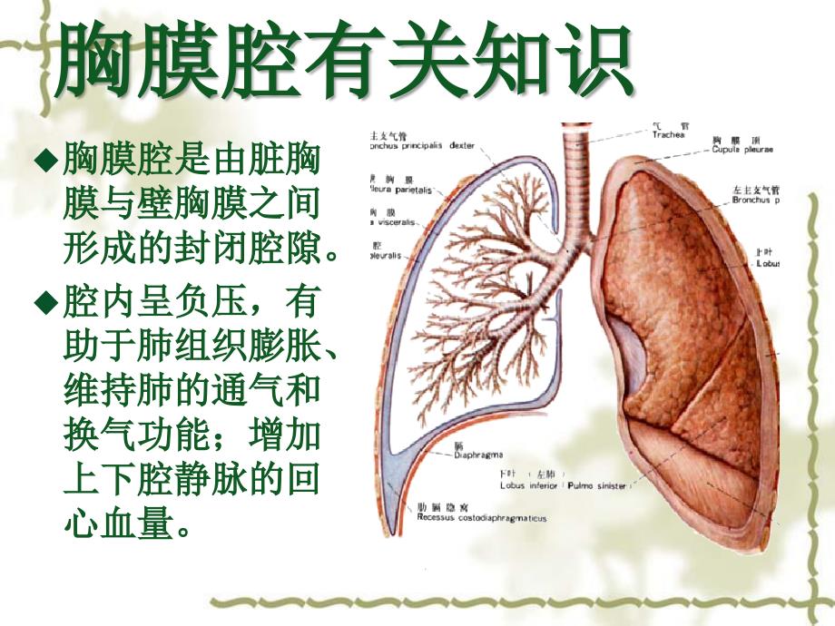 自发性气胸疾病病人的护理查房_第2页