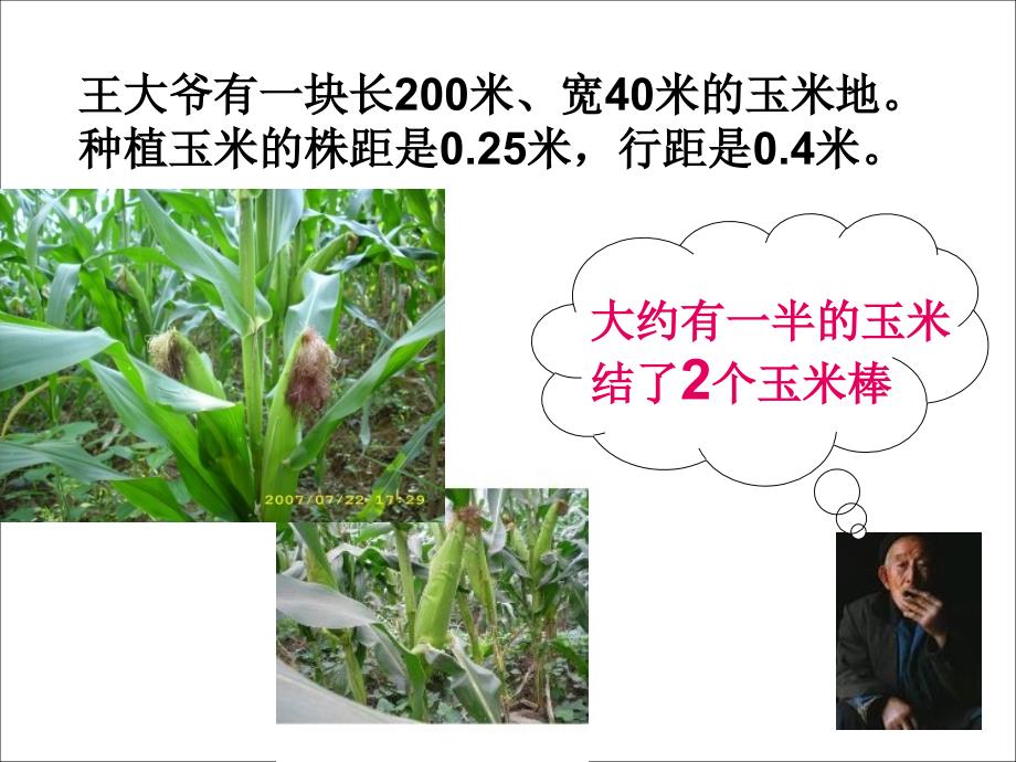 冀教数学五上估算玉米的收入ppt课件2_第3页