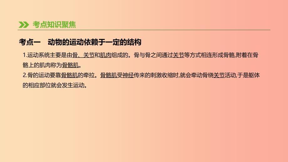 广东省2019年中考生物主题复习五动物的运动和行为第09课时动物的运动和行为课件.ppt_第3页