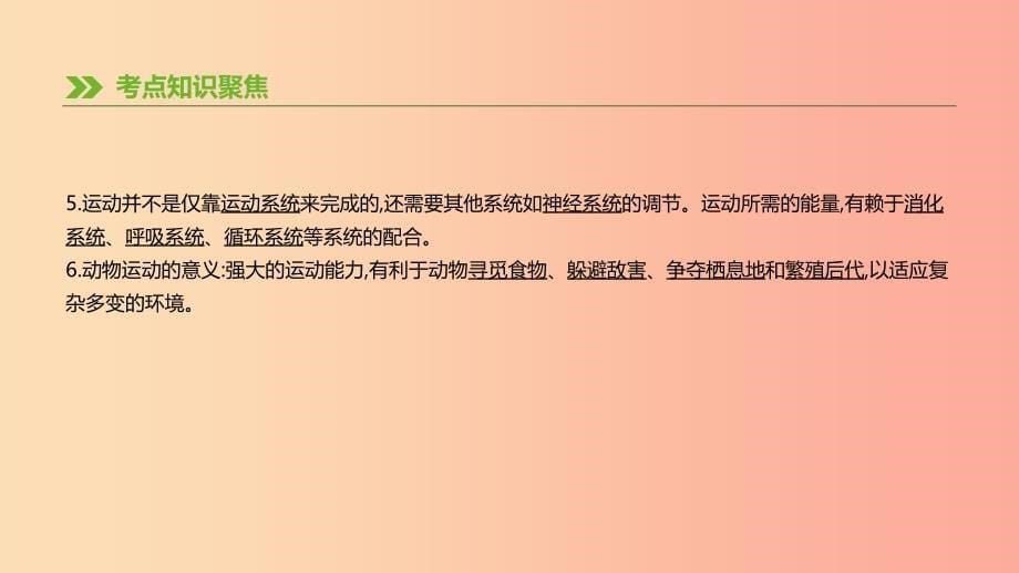 广东省2019年中考生物主题复习五动物的运动和行为第09课时动物的运动和行为课件.ppt_第5页