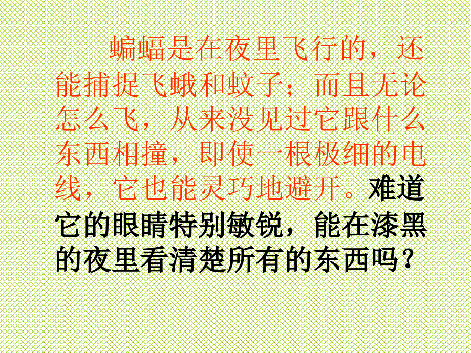 蝙蝠和雷达课件00_第3页