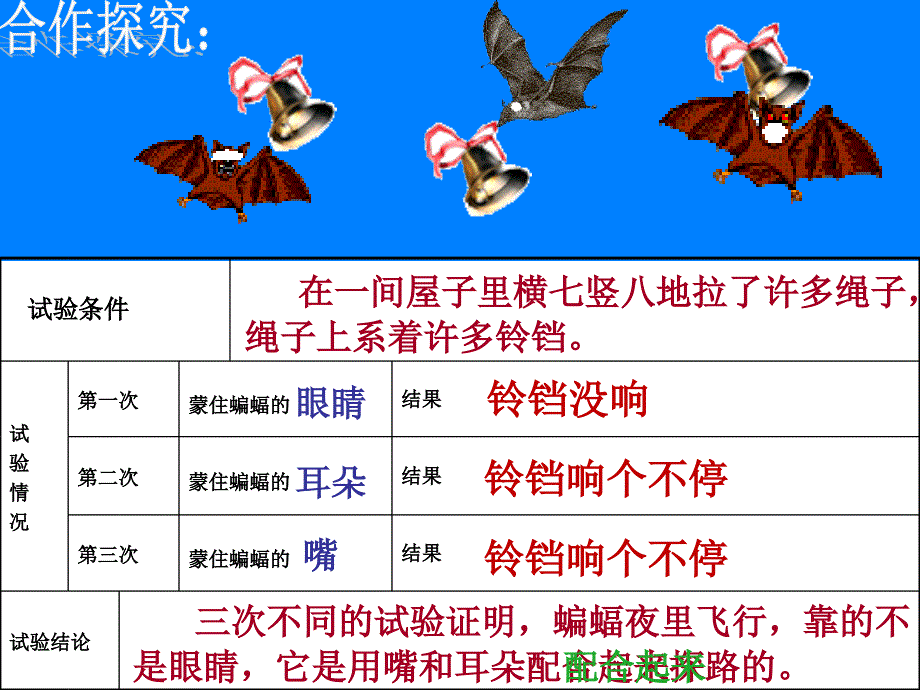 蝙蝠和雷达课件00_第4页