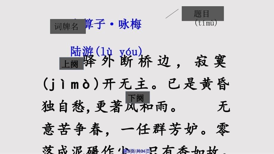 卜算子咏梅陆游实用教案_第5页