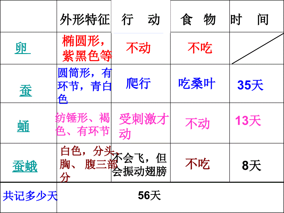 教科版小学科学《蚕的生命周期》_第2页