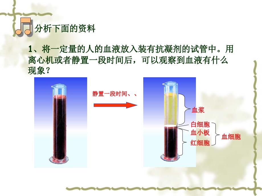 一节流动组织血液_第2页