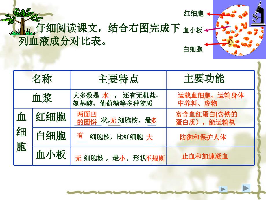 一节流动组织血液_第4页