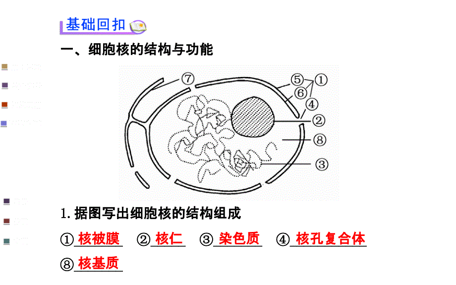 浙江专用金榜生物教师用书配套课件必修1第二章第四五节_第3页