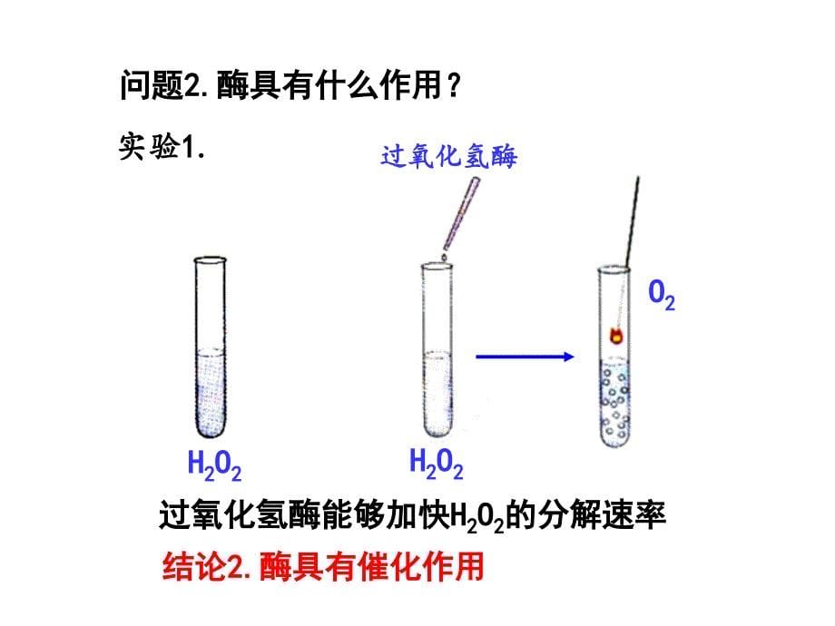 宁乡七中生物曾露酶的本质_第5页