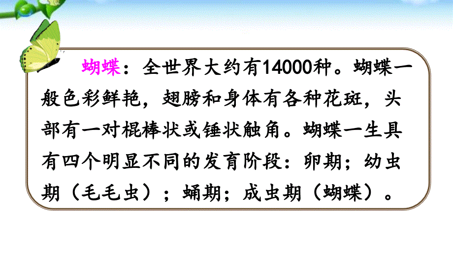 部编本二年级语文下册人教版小毛虫.ppt_第2页