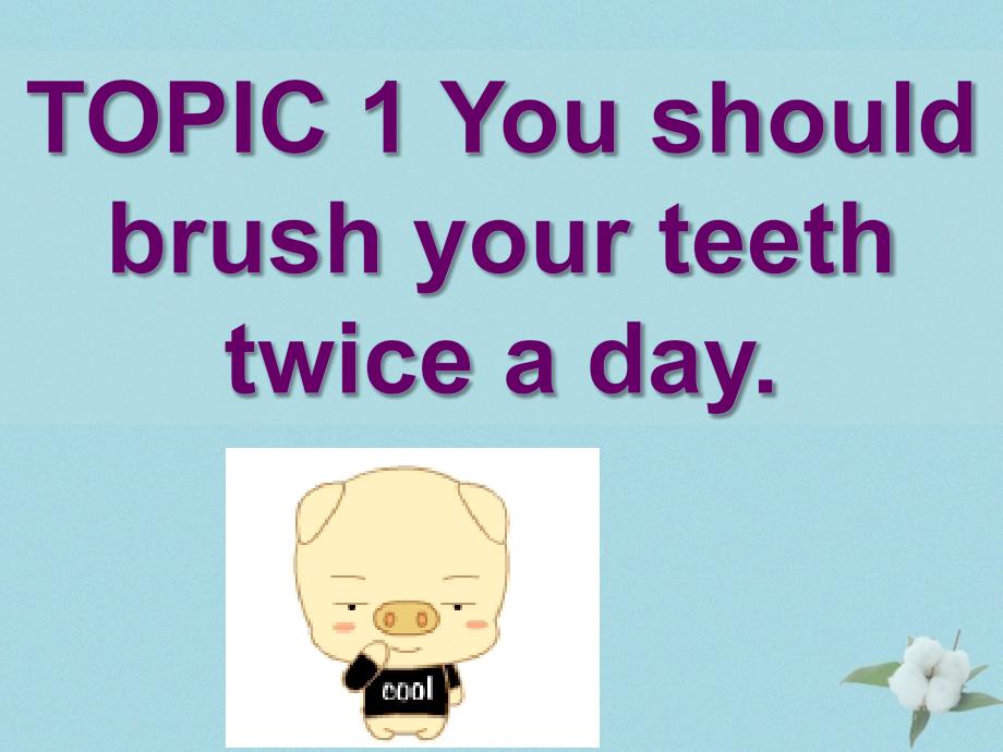 八年级英语上册 Unit 2 Keeping Healthy Topic 1 You should brush your teeth twice a day Section C课件2 （新版）仁爱版_第2页