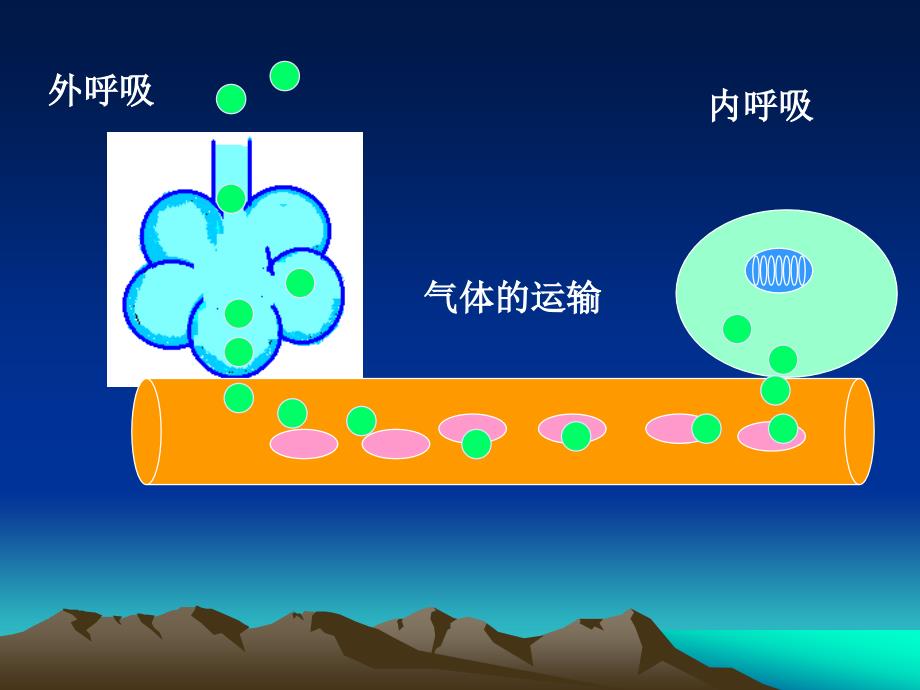 动脉血氧血气分析及临床意义课件_第2页